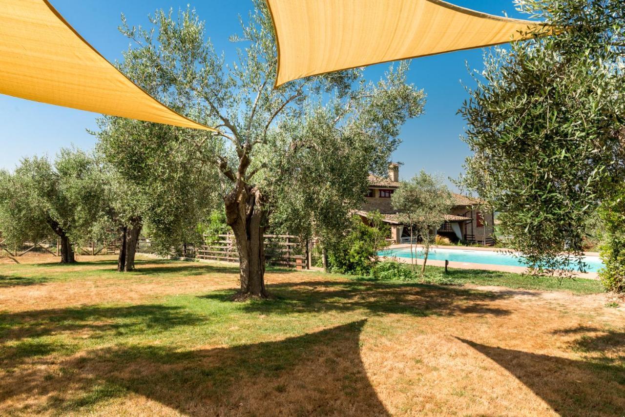 Il Barbagianni Bed and Breakfast Montepescali Εξωτερικό φωτογραφία